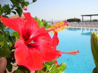 Casarossa Hotel Residence & Beauty Crotone Dış mekan fotoğraf